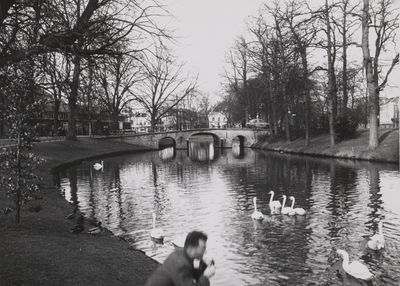 606558 Gezicht op de Stadsbuitengracht te Utrecht, met enkele zwanen. Op de achtergrond de Maliebrug.